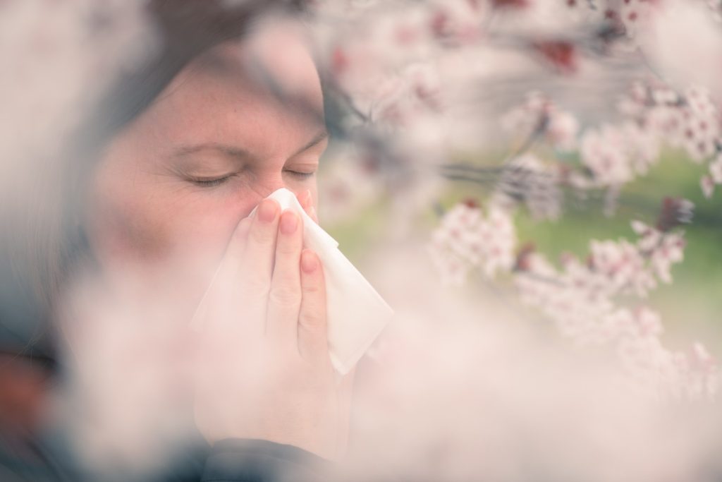 Hay Fever vs Spring Allergy